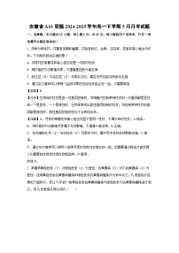 安徽省A10联盟2024-2025学年高一下学期5月月考生物试卷（解析版）