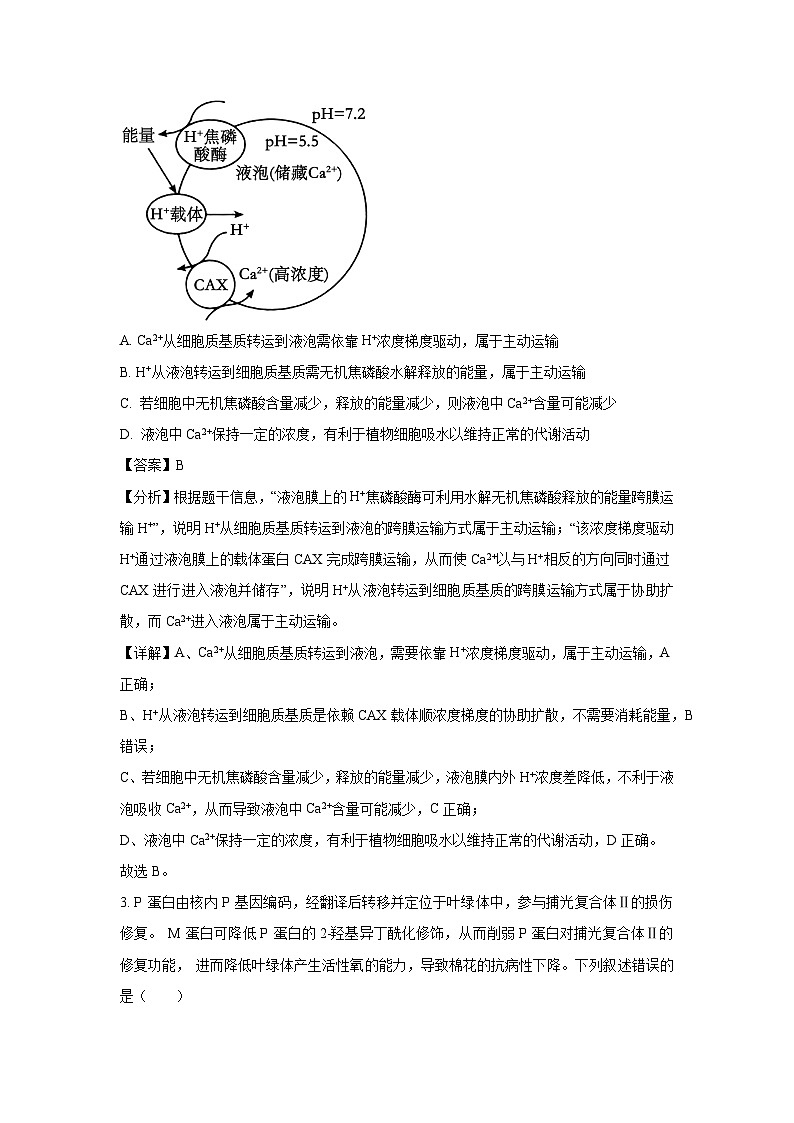 甘肃省三校2025届高三下5月适应性考试生物试卷(解析版)第2页