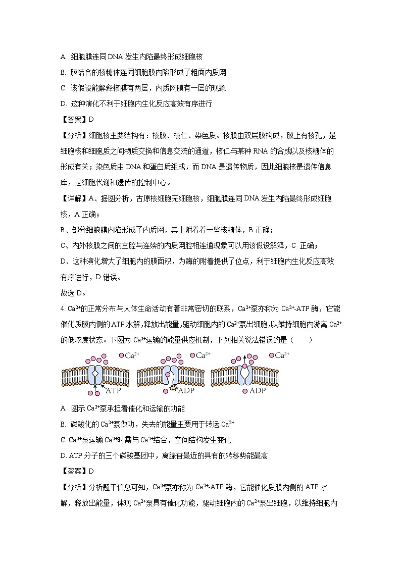 湖北省重点高中智学联盟2024-2025学年高一下学期下5月联考生物试卷(解析版)第3页