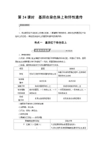 高三生物【一轮复习】讲义练习　第五单元　第二十四课时　基因在染色体上和伴性遗传