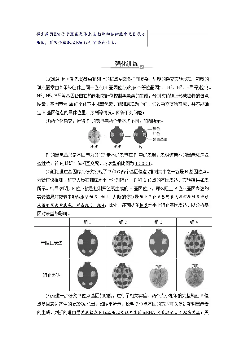 高三生物【一轮复习】讲义练习 第五单元 长句表达(二) 遗传实验中的理性思维与科学探究第3页