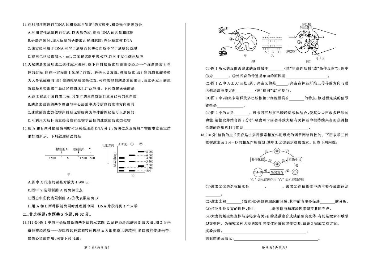 甘肃省张掖市百师联盟2025届新高二下学期7月期末考-生物试题+答案第3页