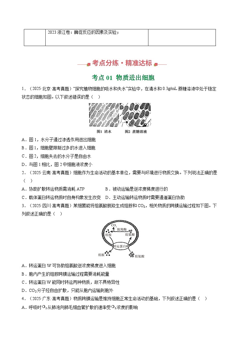 三年(2023-2025)高考生物真题分类汇编:专题02 物质进出细胞、酶与ATP(全国通用)(原卷版)第2页