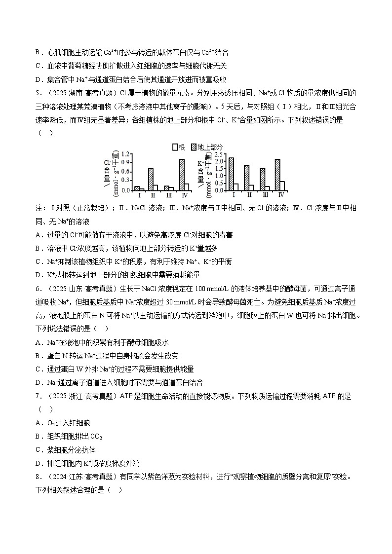 三年(2023-2025)高考生物真题分类汇编:专题02 物质进出细胞、酶与ATP(全国通用)(原卷版)第3页