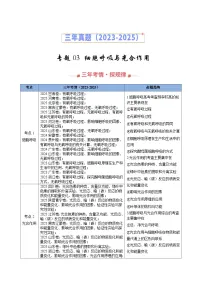 三年(2023-2025)高考生物真题分类汇编:专题03 细胞呼吸与光合作用(全国通用)(解析版)
