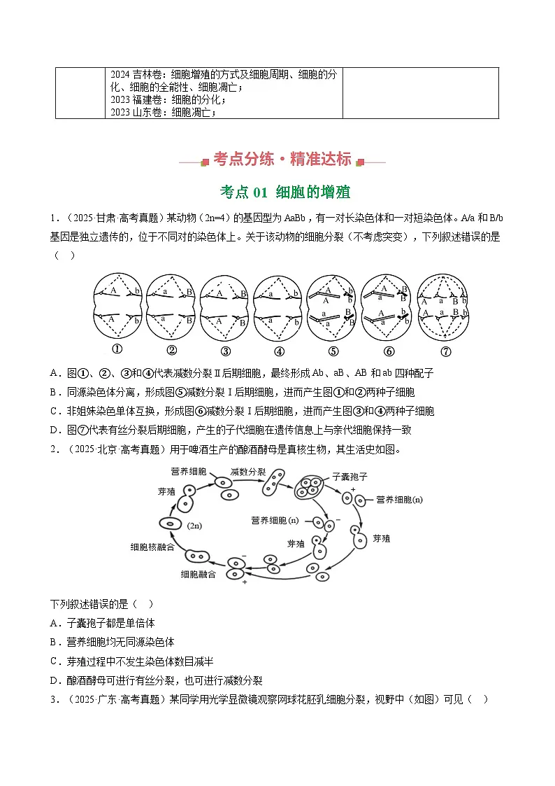 三年(2023-2025)高考生物真题分类汇编:专题04 细胞的增殖和生命历程(全国通用)(原卷版)第2页