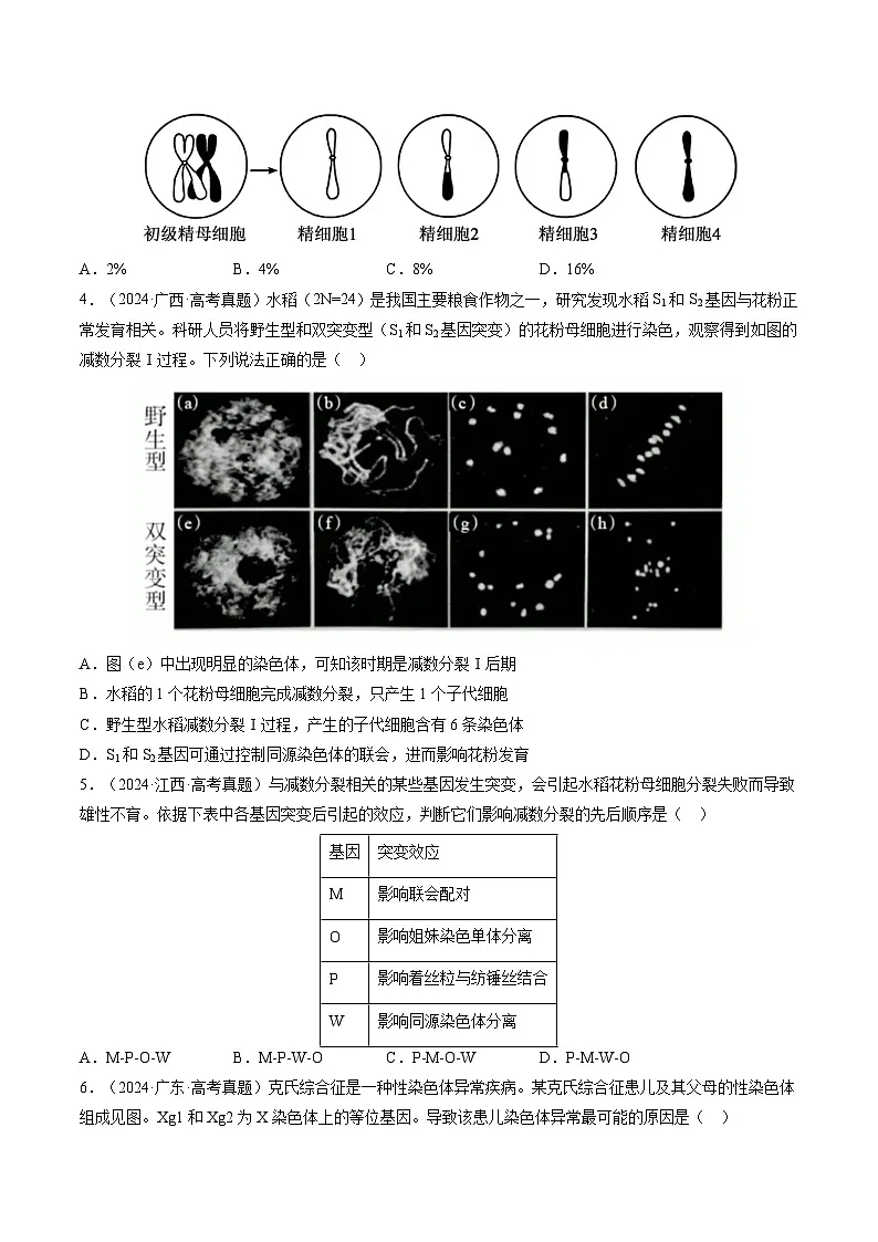 三年(2023-2025)高考生物真题分类汇编:专题06 基因与染色体的关系(全国通用)(原卷版)第3页