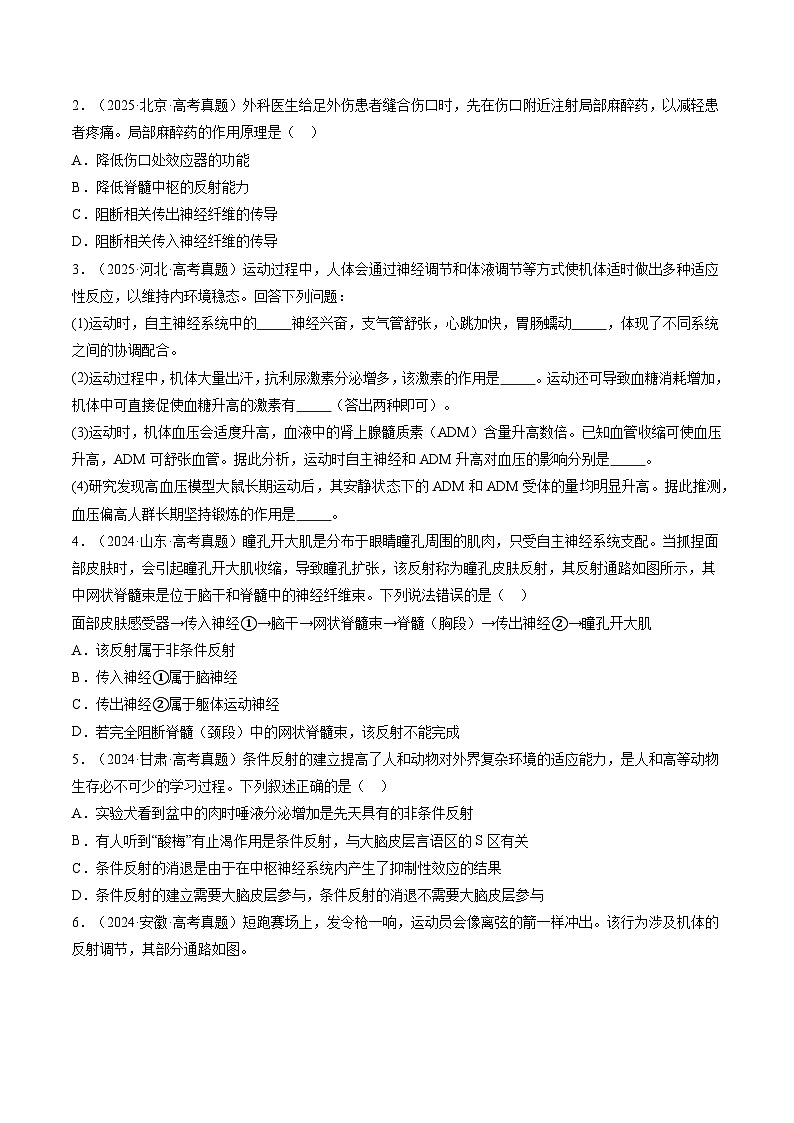 三年(2023-2025)高考生物真题分类汇编:专题10 神经调节(全国通用)(原卷版)第3页