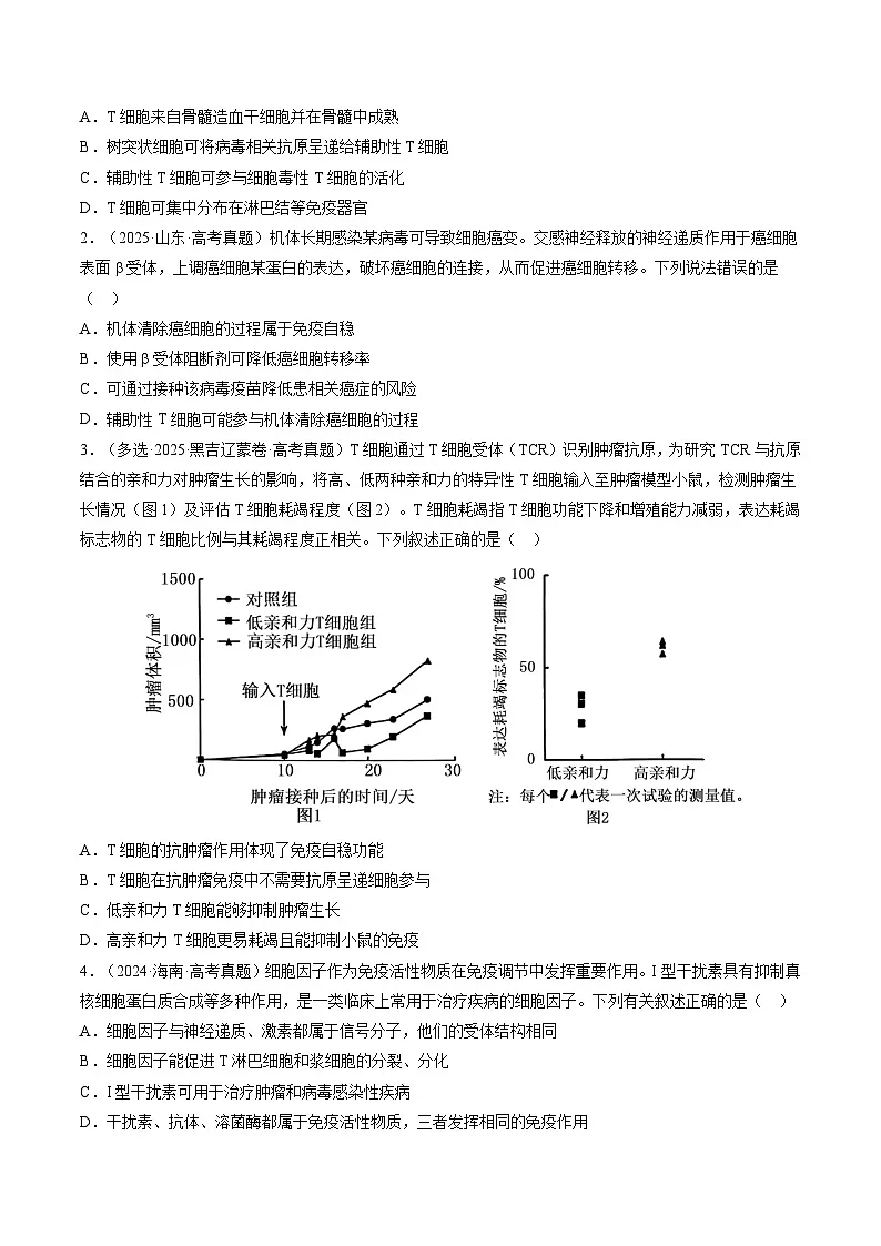 三年(2023-2025)高考生物真题分类汇编:专题12 免疫调节(全国通用)(原卷版)第3页