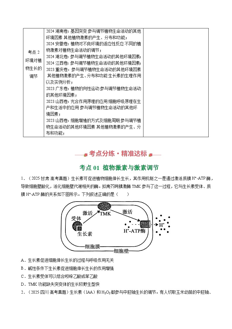 三年(2023-2025)高考生物真题分类汇编:专题13 植物的激素调节(全国通用)(原卷版)第3页