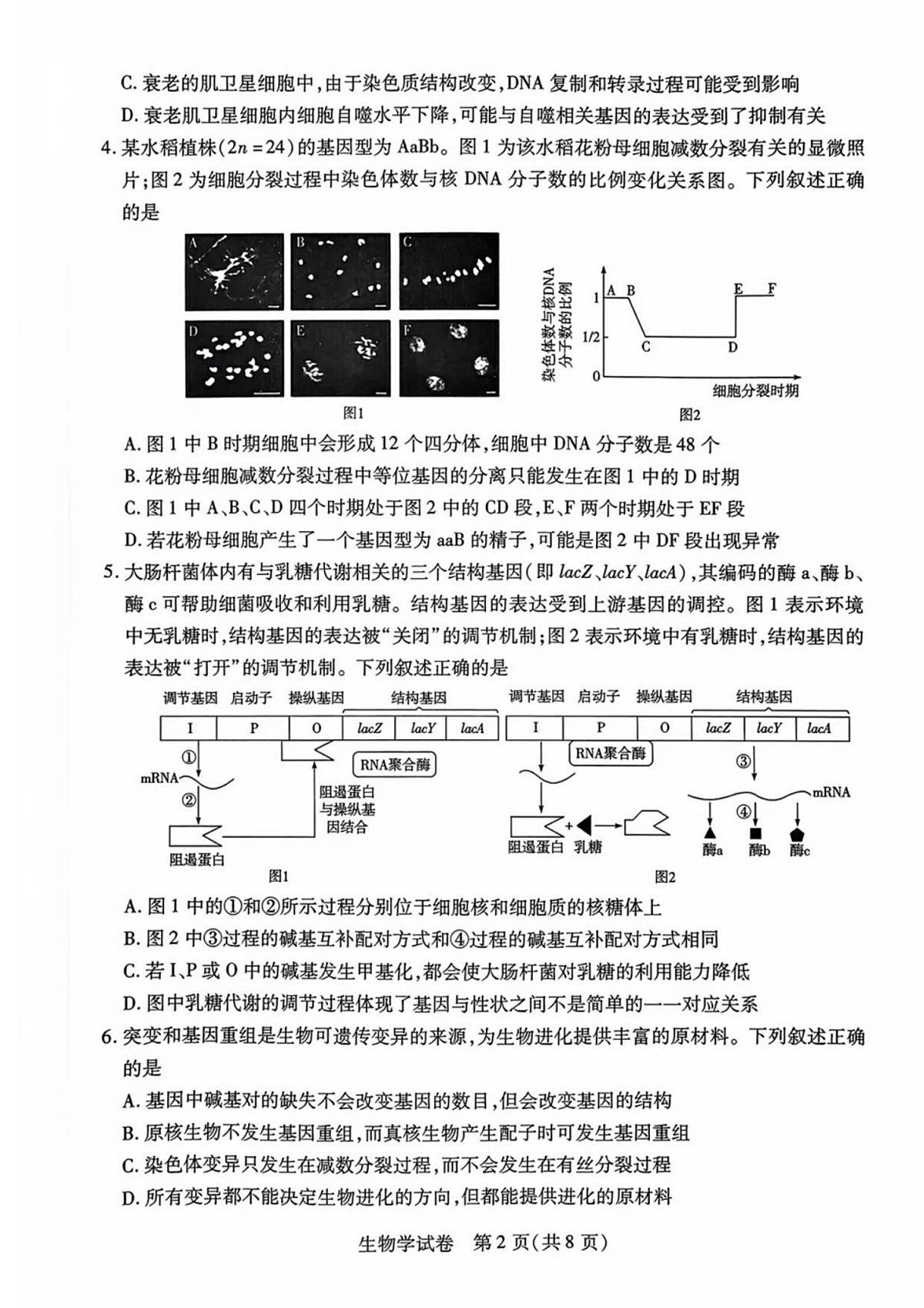 安徽省滁州市2024-2025学年高二下学期期末考试 生物试卷第2页