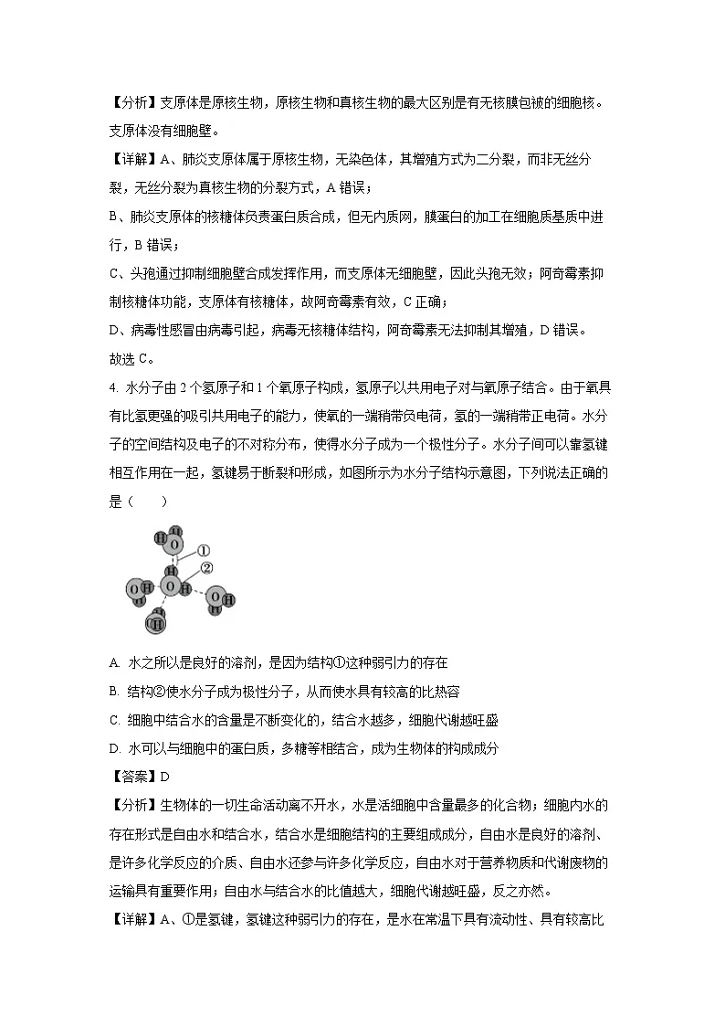 辽宁省沈阳市五校协作体2024-2025学年高二下学期期中考试生物试卷(解析版)第3页
