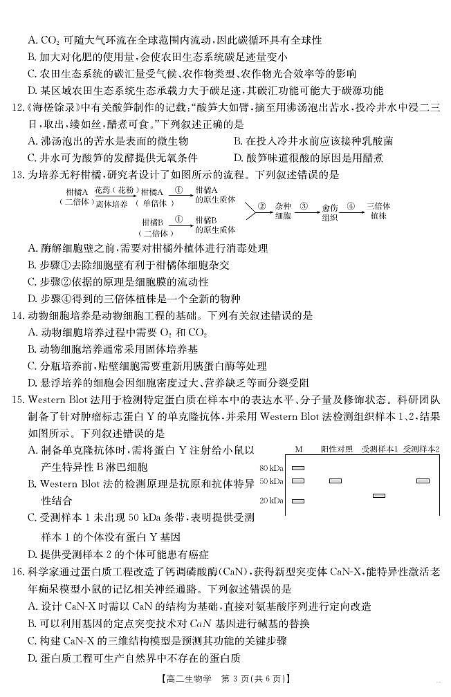甘肃省天水市2024-2025学年高二下学期7月阶段性检测 生物.pdf第3页