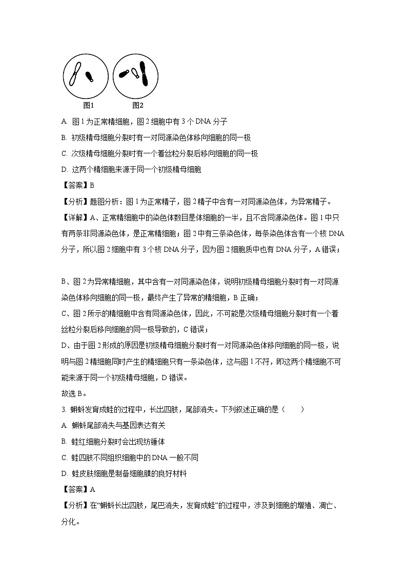 湖南省岳阳市2024-2025学年高一下学期下6月月考模拟卷生物试卷(解析版)第2页