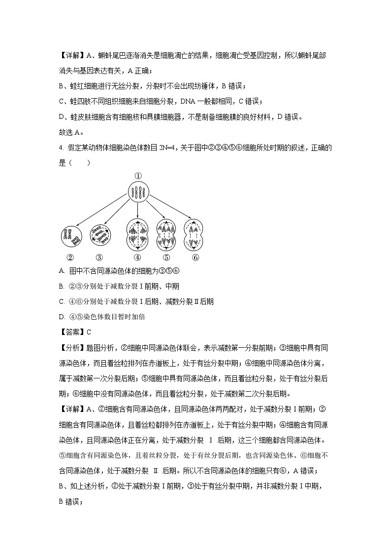 湖南省岳阳市2024-2025学年高一下学期下6月月考模拟卷生物试卷(解析版)第3页
