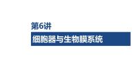 第6讲 细胞器与生物膜系统-2026年高考生物一轮复习课件（含练习、讲义及答案）