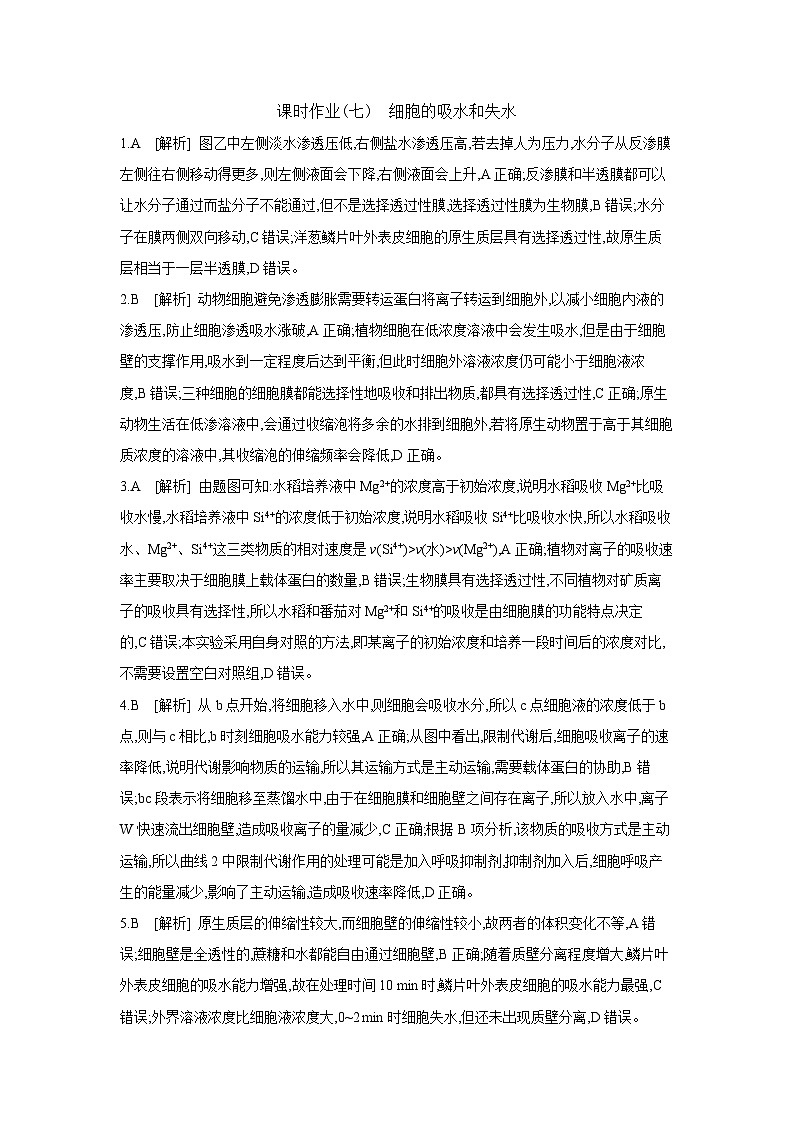 07 课时作业(七) 细胞的吸水和失水 【答案】【作业手册】第1页