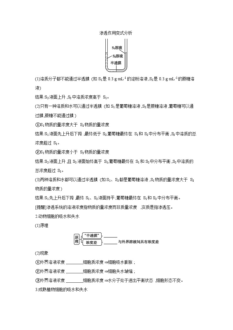 04 第7讲 第1课时 细胞的吸水和失水【正文】【听课手册】第2页