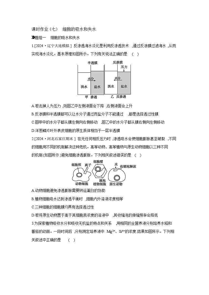 07 课时作业(七) 细胞的吸水和失水 【正文】【作业手册】第1页