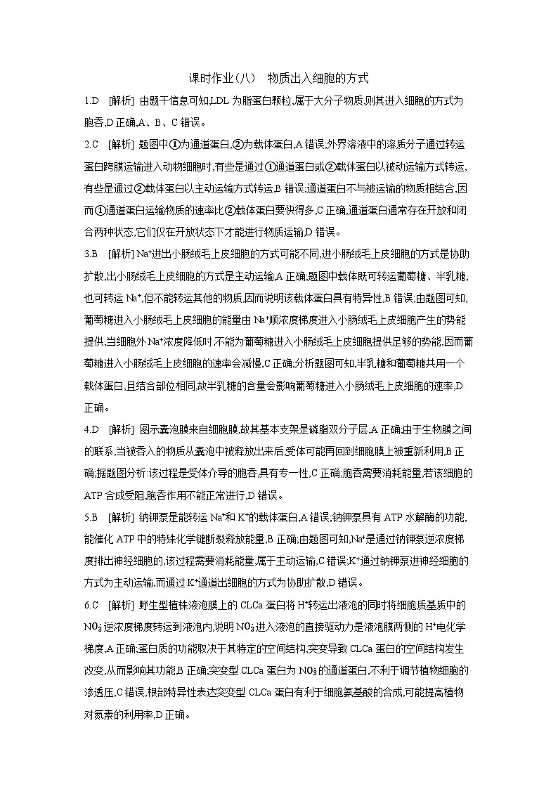 08 课时作业(八) 物质出入细胞的方式 【答案】【作业手册】第1页