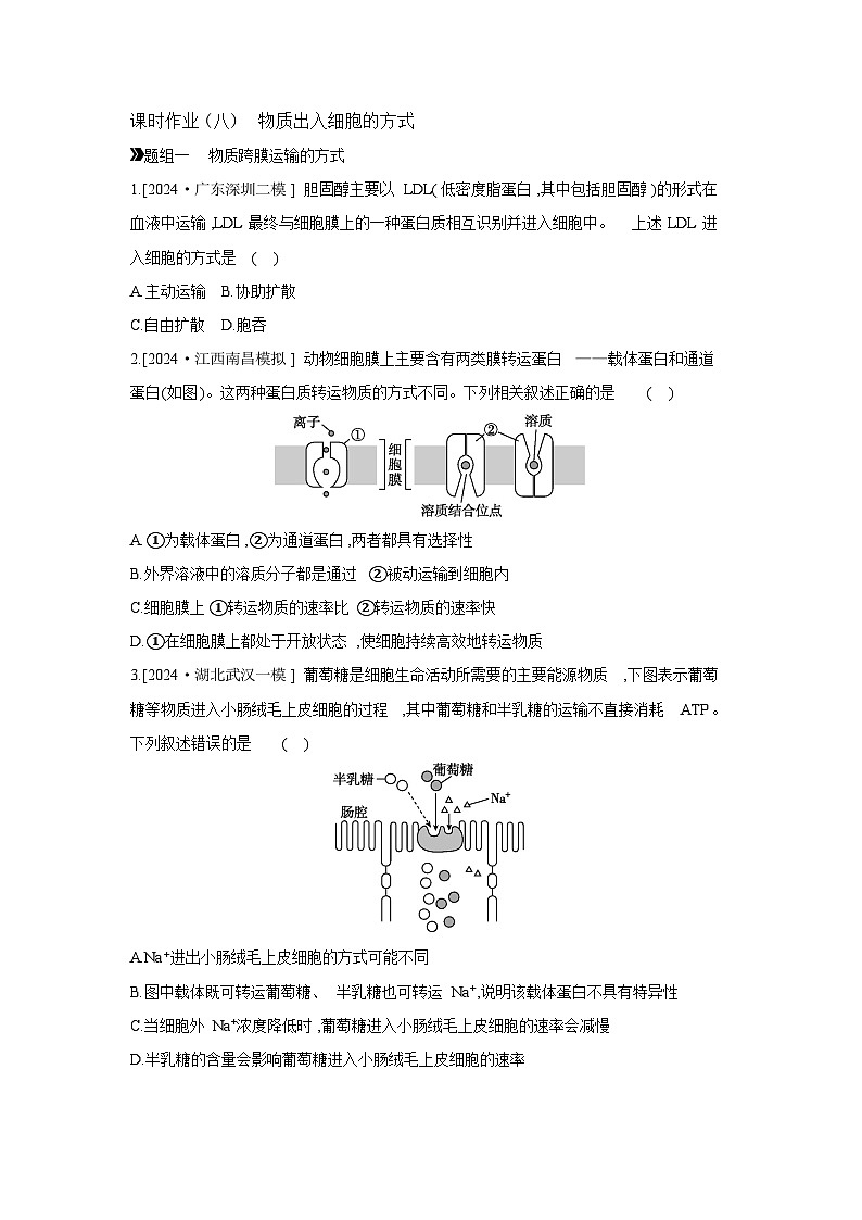 08 课时作业(八) 物质出入细胞的方式 【正文】【作业手册】第1页