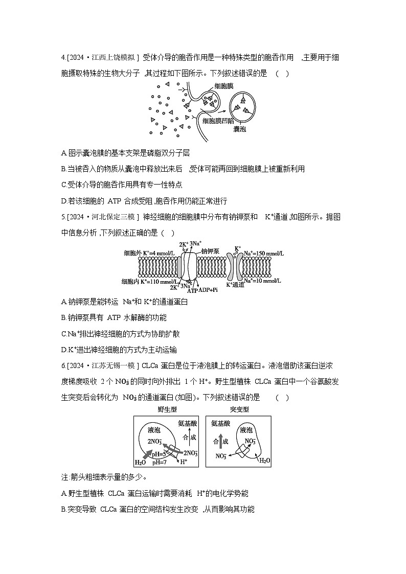 08 课时作业(八) 物质出入细胞的方式 【正文】【作业手册】第2页