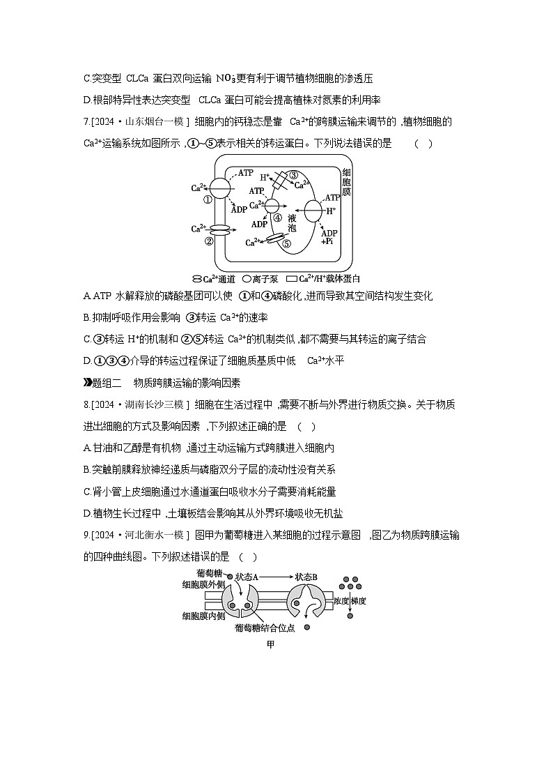 08 课时作业(八) 物质出入细胞的方式 【正文】【作业手册】第3页