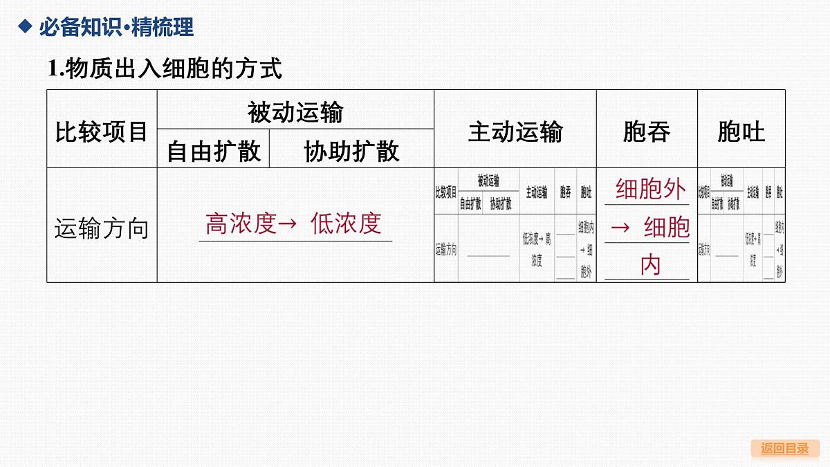 05-第7讲 细胞的物质输入和输出-第2课时 物质出入细胞的方式第6页