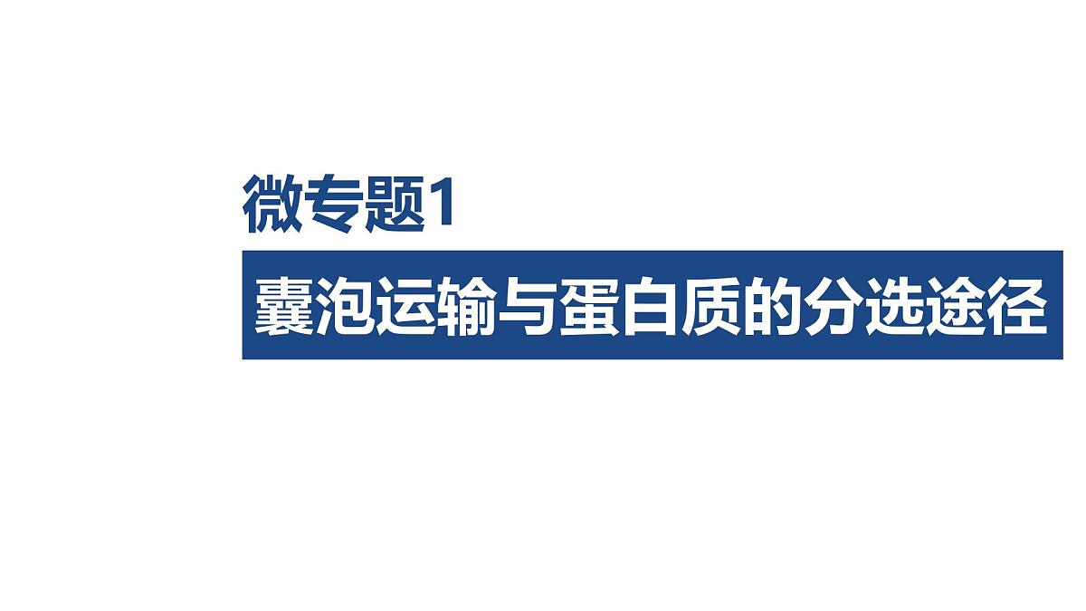 03-微专题1 囊泡运输与蛋白质的分选途径第1页