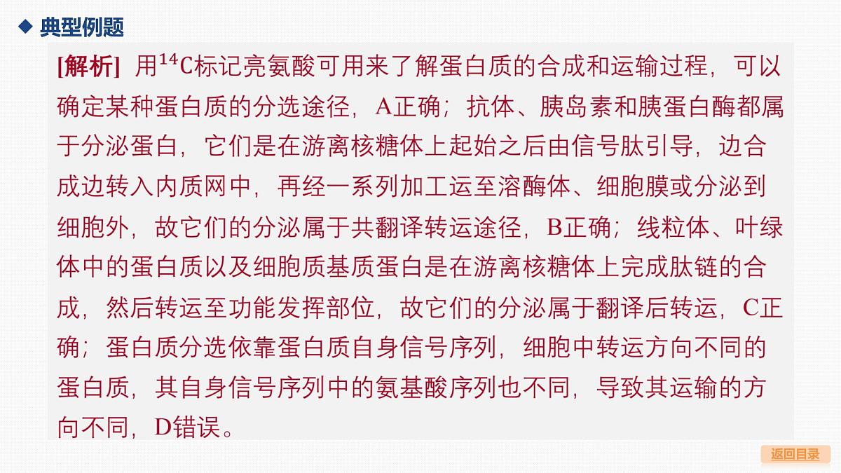 03-微专题1 囊泡运输与蛋白质的分选途径第6页