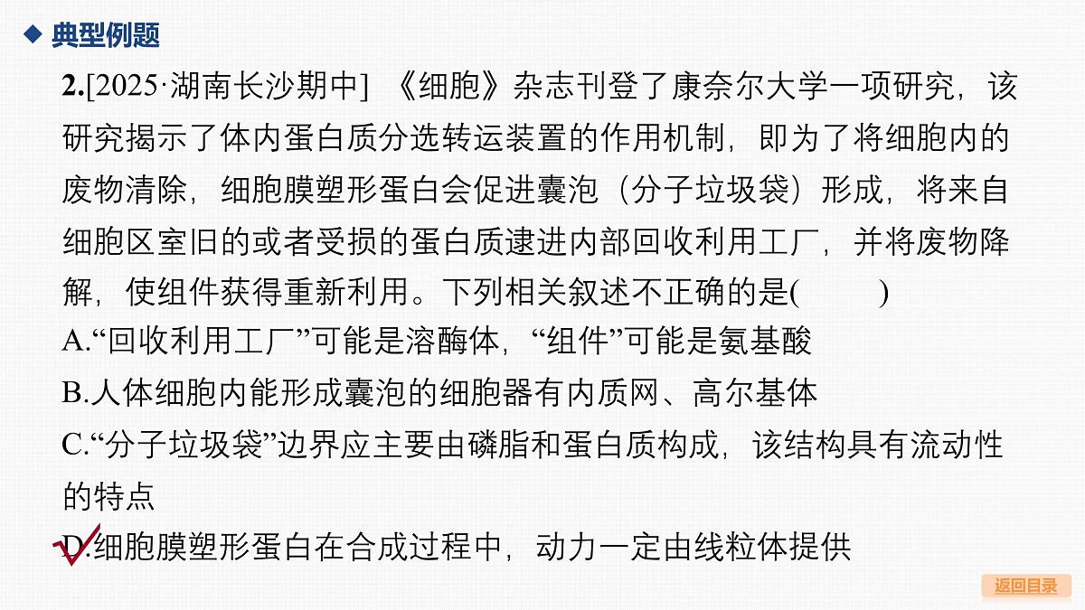03-微专题1 囊泡运输与蛋白质的分选途径第7页