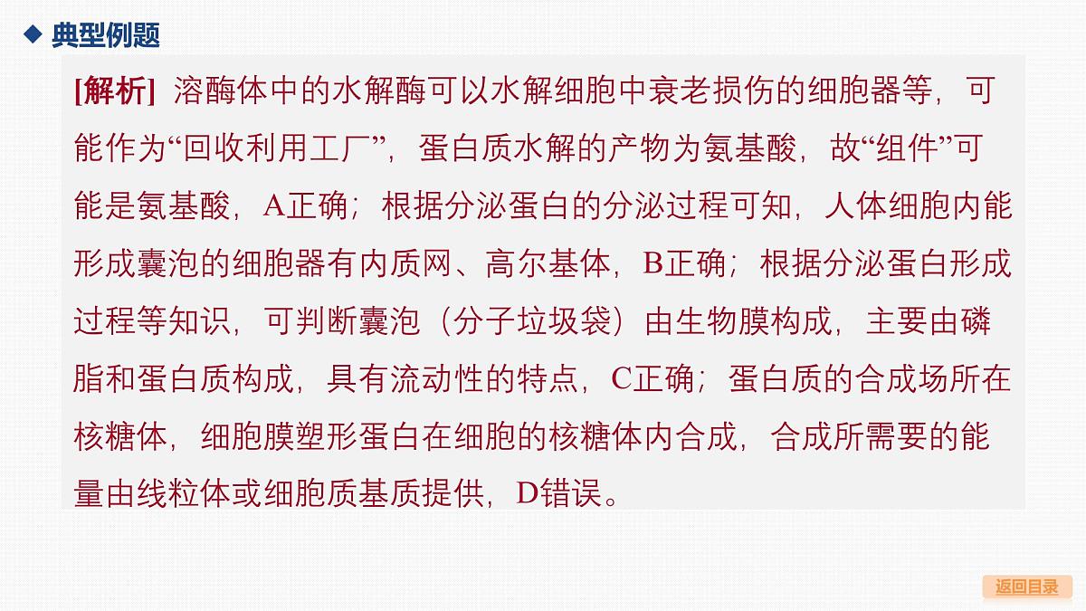 03-微专题1 囊泡运输与蛋白质的分选途径第8页