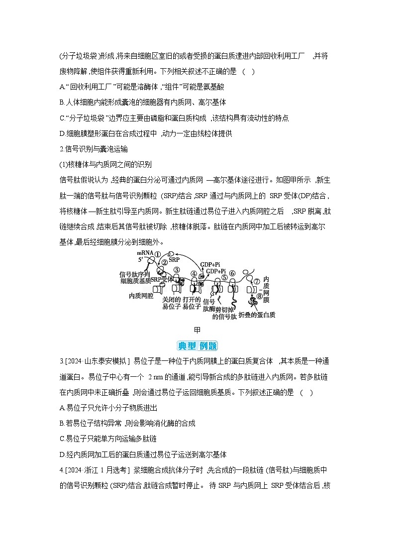 03 微专题1 囊泡运输与蛋白质的分选途径 【正文】【听课手册】第2页