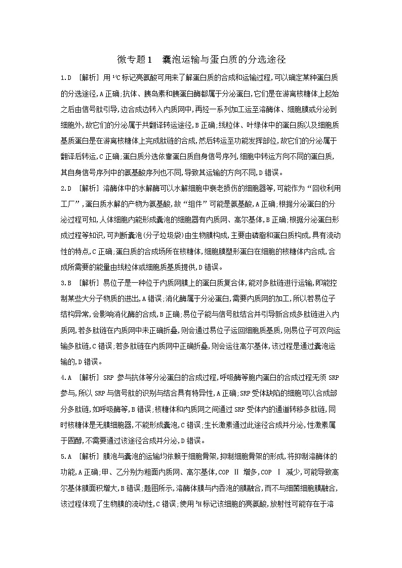 03 微专题1 囊泡运输与蛋白质的分选途径 【答案】【听课手册】第1页