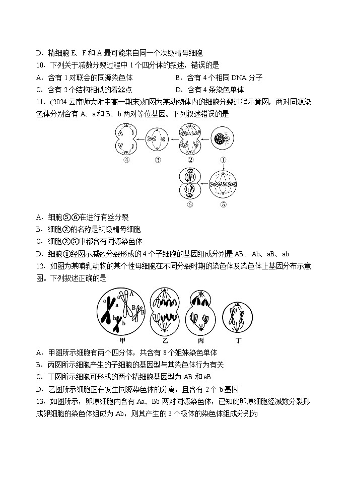 石家庄市第一中学2024-2025学年高一年级第二学期期末考试生物试卷第3页