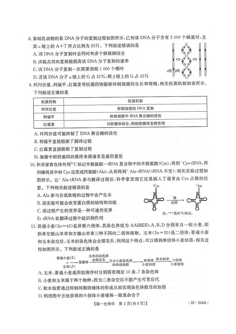河北省邢台市2024-2025学年高一下学期期末测试生物试卷(图片版)第3页