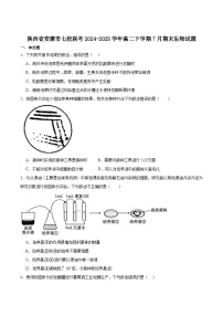 陕西省安康市七校2024-2025学年高二下学期7月期末联考生物学试卷（含答案）含答案解析