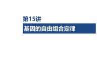 第15讲 基因的自由组合定律-第1课时 基因的自由组合定律-2026年高考生物一轮复习课件（含练习、讲义及答案）