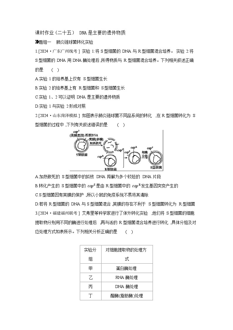 27 课时作业(二十五) DNA是主要的遗传物质 【正文】【作业手册】第1页