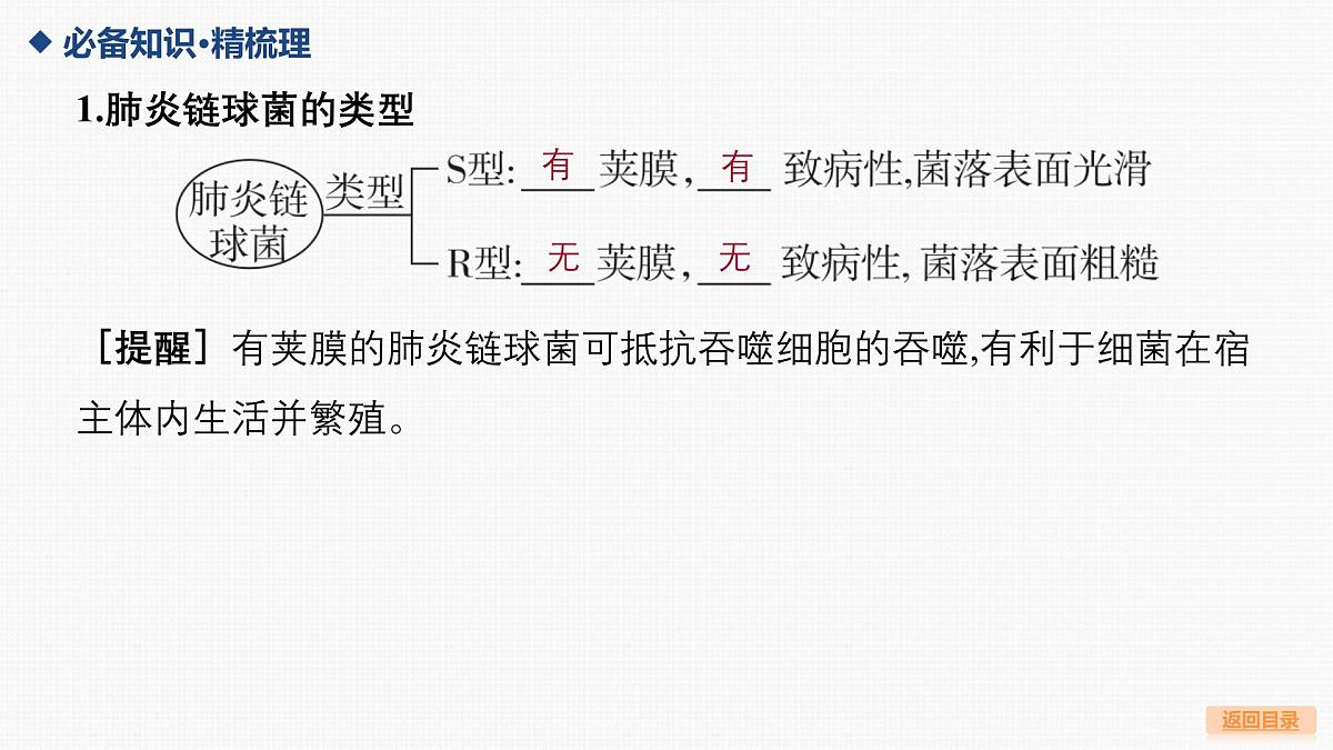 第17讲 DNA是主要的遗传物质第5页