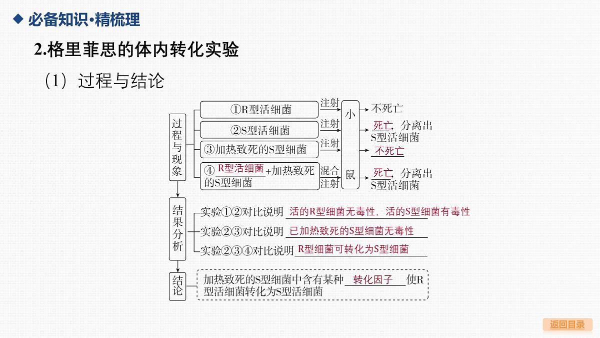 第17讲 DNA是主要的遗传物质第6页