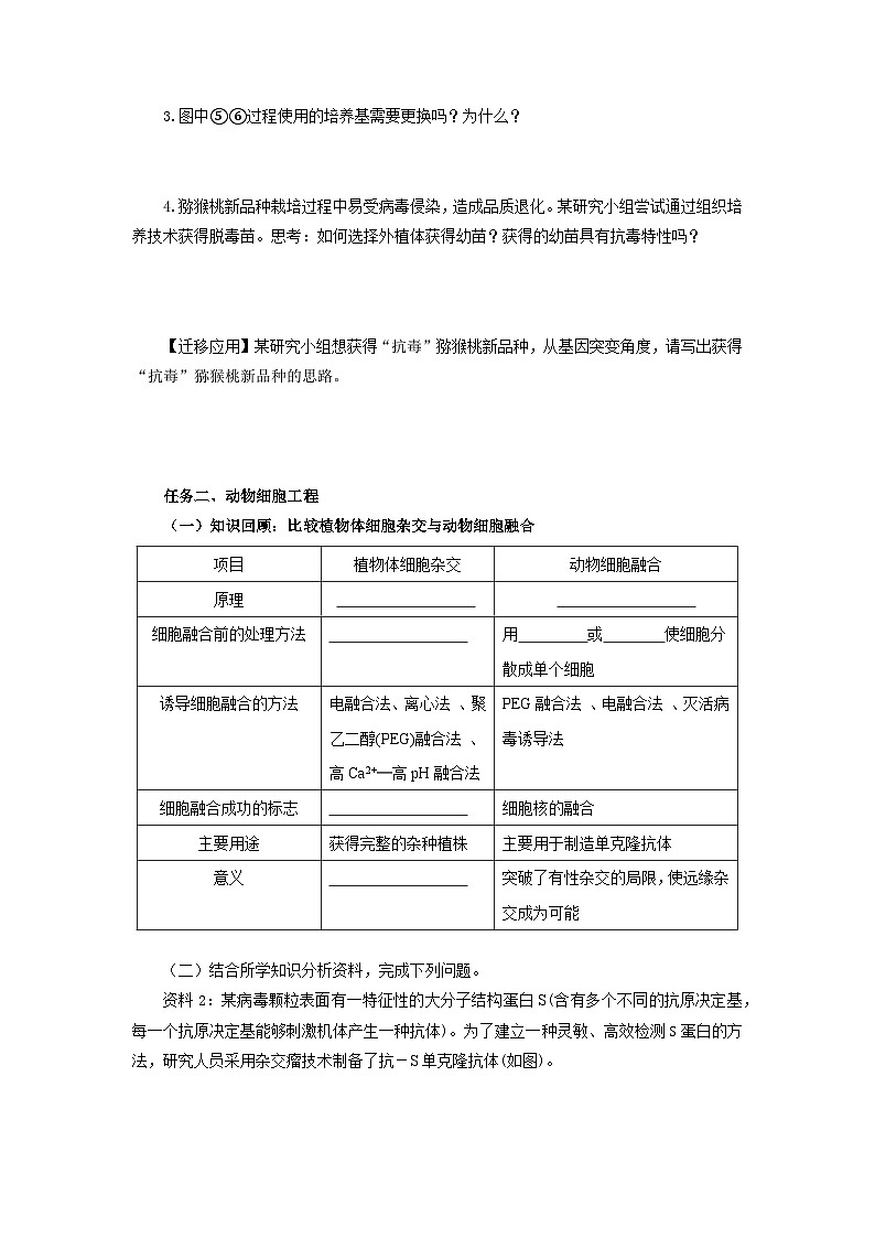 第2章 细胞工程章末复习 学案-2024-2025学年高二下学期生物人教版选择性必修3第3页