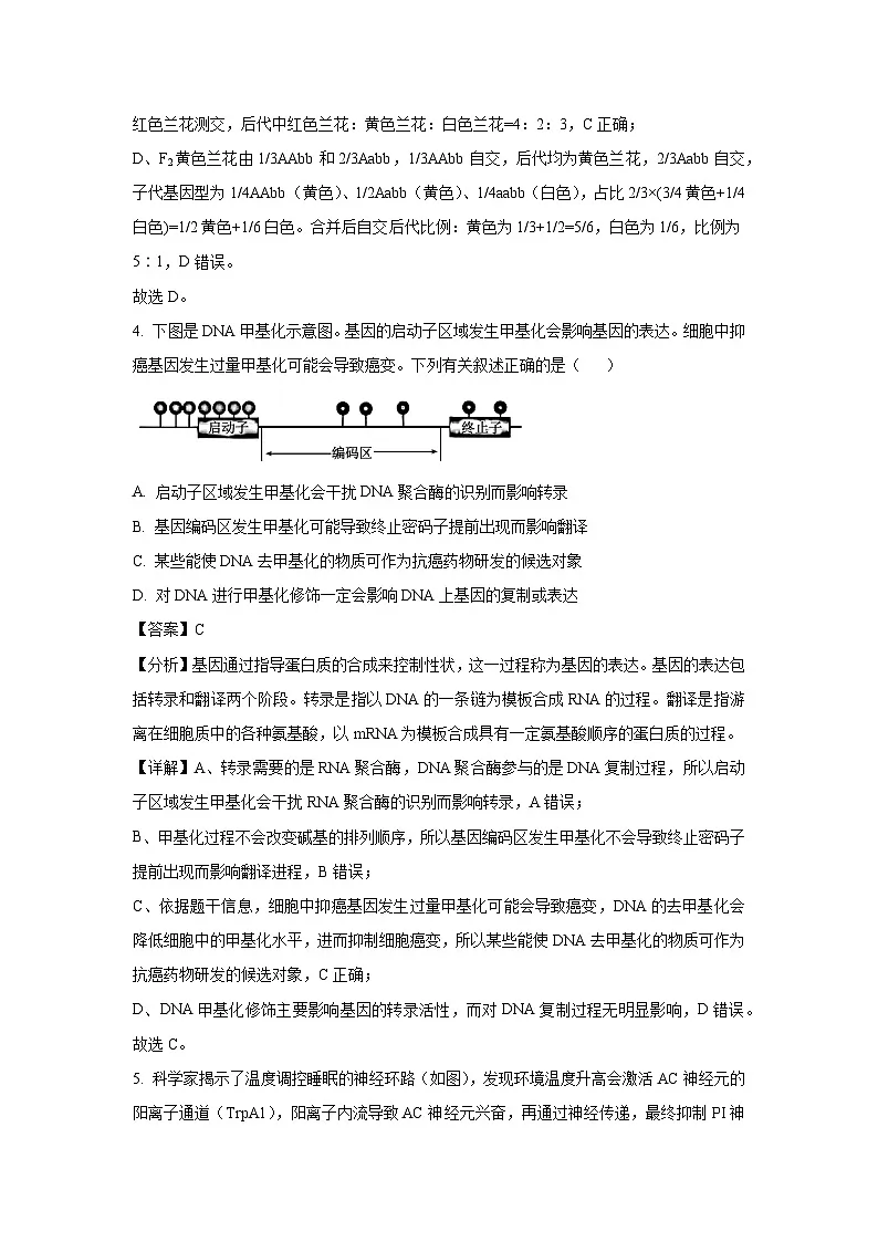 江西省2025届高三下普通高中学业水平选择性考试(九)生物试卷(解析版)第3页