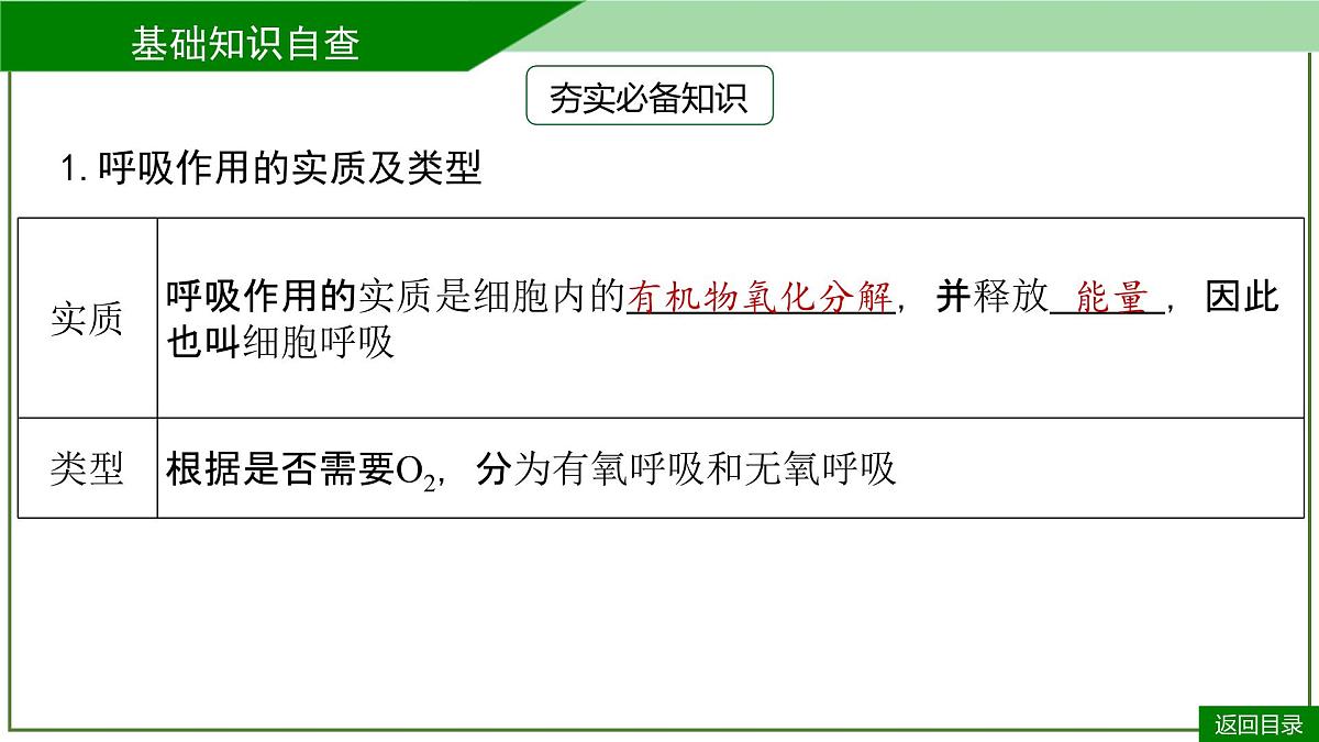 2026届高考生物一轮专题复习:专题3 第2讲 细胞呼吸 课件第7页