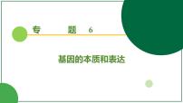 2026届高考生物一轮专题复习：专题6 第1讲 DNA是主要的遗传物质 课件