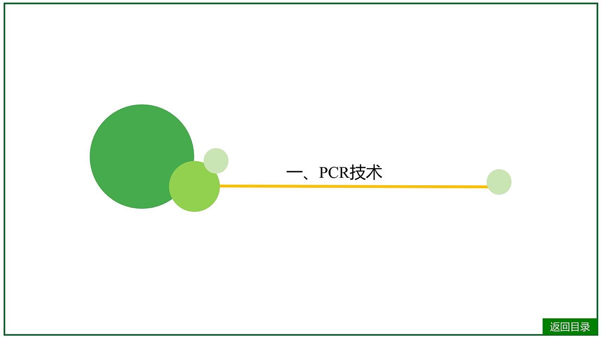 2026届高考生物一轮专题复习:专题10 微专题9 PCR和基因编辑技术 课件第4页