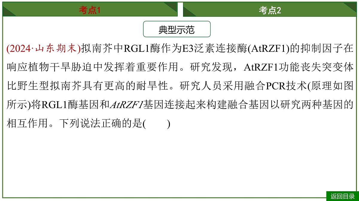 2026届高考生物一轮专题复习:专题10 微专题9 PCR和基因编辑技术 课件第5页