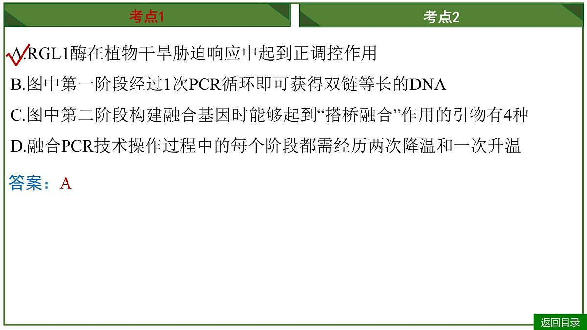 2026届高考生物一轮专题复习:专题10 微专题9 PCR和基因编辑技术 课件第7页