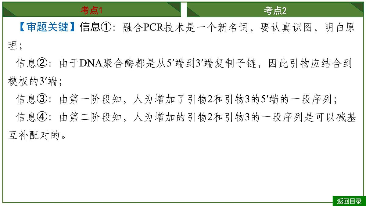 2026届高考生物一轮专题复习:专题10 微专题9 PCR和基因编辑技术 课件第8页