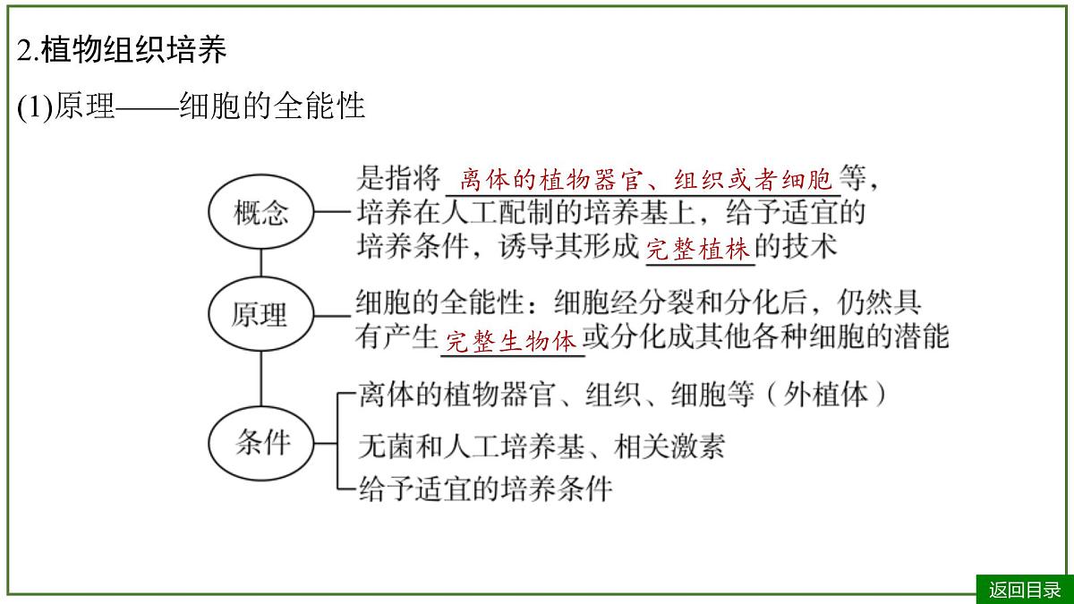 2026届高考生物一轮专题复习:专题10 第3讲 植物细胞工程 课件第8页